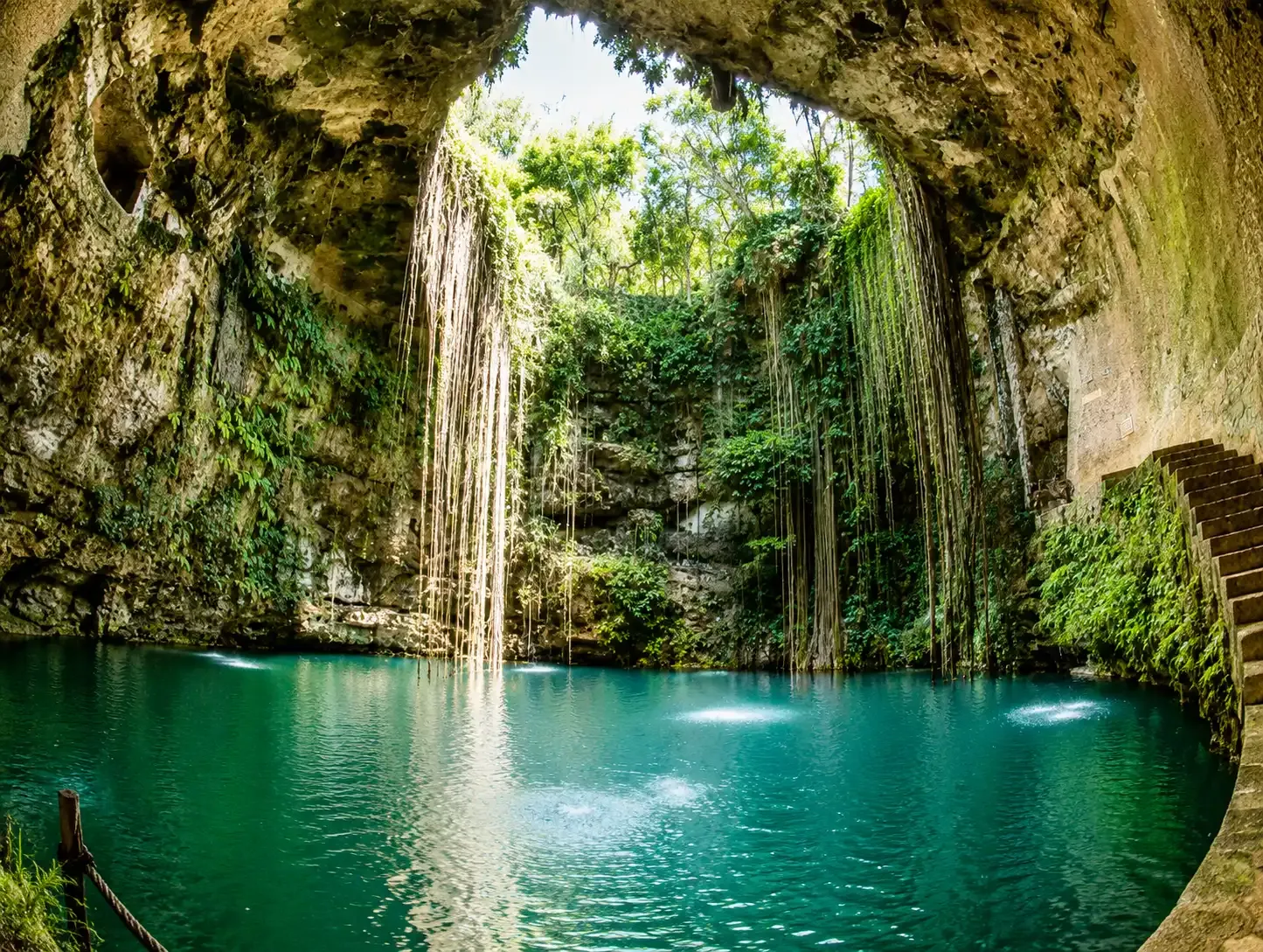 Ruta de los Cenotes rodeada de vegetación tropical